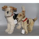 A Steiff 'Foxy' Fox Terrier, model no. 931717, height 13.5ins (button in ear) and another smaller