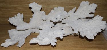 A large white coral fragment, 26in.