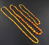 Three single strand amber bead necklaces, with metal clasps, gross weight 163 grams, longest 36in.