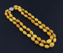 A double strand oval amber bead necklace, with silver clasp, gross weight 64 grams, 46cm.