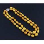 A double strand oval amber bead necklace, with silver clasp, gross weight 64 grams, 46cm.