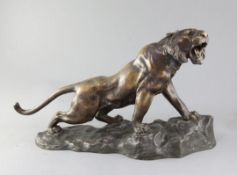 Kracowski. A bronze model of a roaring tiger, on integral signed naturalistic rocky base, length