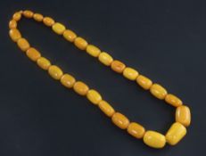 A single strand graduated oval amber bead necklace, gross 78 grams, 23in.