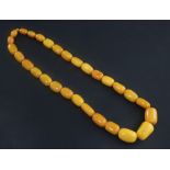 A single strand graduated oval amber bead necklace, gross 78 grams, 23in.