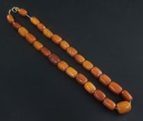 A single strand amber bead necklace, with gilt metal clasp, gross weight 63 grams, 22in.