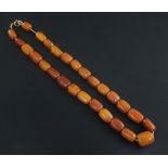 A single strand amber bead necklace, with gilt metal clasp, gross weight 63 grams, 22in.