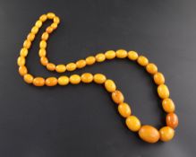 A single strand graduated oval amber bead necklace, gross 119 grams, 32in.