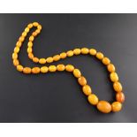 A single strand graduated oval amber bead necklace, gross 119 grams, 32in.