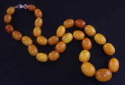 A single strand graduated oval amber bead necklace, with base metal clasp, gross 62 grams, 20in