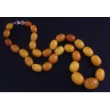 A single strand graduated oval amber bead necklace, with base metal clasp, gross 62 grams, 20in