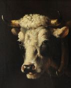 Albertus Verhoesen (1806-1881)oil on wooden panelStudy of a cow's headsigned8.5 x 7in.