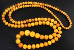 A long single strand graduated circular amber bead necklace, gross weight 107 grams, 51in.