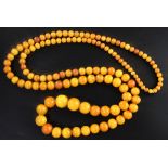 A long single strand graduated circular amber bead necklace, gross weight 107 grams, 51in.