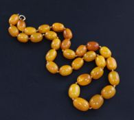 A single strand oval amber bead necklace, gross 74 grams, 66cm.