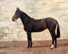 § Frances Mabel Hollams (1877-1963)oil on canvasPortrait of a horse, 'Just Fancy'signed, Frost and