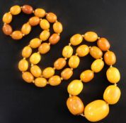 A single strand graduated oval amber bead necklace, gross 102 grams, 82cm.