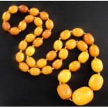 A single strand graduated oval amber bead necklace, gross 102 grams, 82cm.