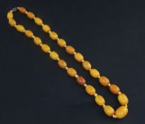 A graduated amber bead necklace, with metal clasp, gross 35 grams, 51cm