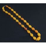 A graduated amber bead necklace, with metal clasp, gross 35 grams, 51cm