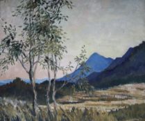 S.G. Adamson, oil on canvas, South African landscape, 49cm x 60cm