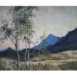 S.G. Adamson, oil on canvas, South African landscape, 49cm x 60cm