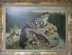 English School, oil on canvas, frogs and toads in a pond, 56 x 78cm