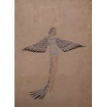 Louis Curtis, pair of gouache, bird costumes, London Palladium 1934, signed, 35 x 25cm