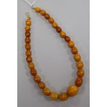 A single strand amber bead necklace, gross weight 20 grams, 33.5cm.