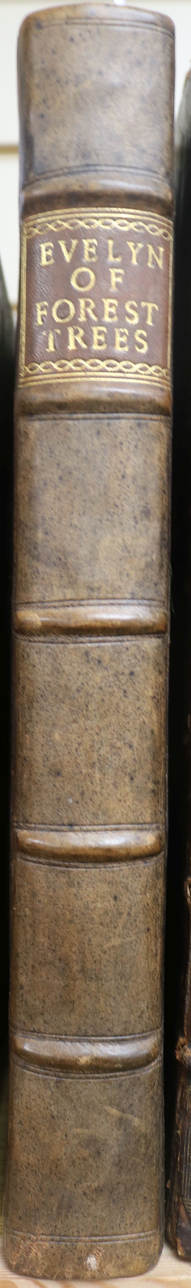 Evelyn, John, Sylva, 3rd edition, folio, contemporary calf, rebacked, bound with Kalendarium - Image 3 of 3