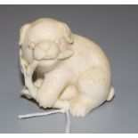 A 19th century Japanese carved ivory dog