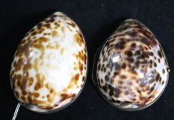 Two 19th century Cowrie shell snuff boxes, one with finely engraved mother of pearl inset hinged lid