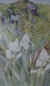 Anne Cathcart, watercolour, Irises, 50 x 37cm
