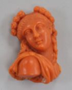 A carved coral bust of a lady (ex brooch mounted), 33mm.