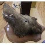 A boar's head on shield