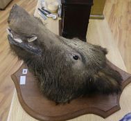 A boar's head on shield