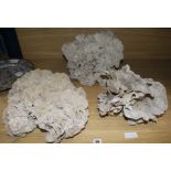 Three large pieces of coral