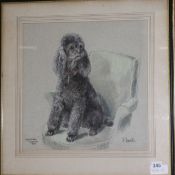 Marjorie Turner, pastel, portrait of a black poodle, signed and dated 1979, 38 x 37cm