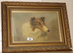 W. Johnston, oil on canvas, study of a Collie, signed and dated 1904, 30 x 44cm