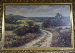 David Dipnall (b. 1942), oileograph, 'Byway', signed, 49 x 74cm