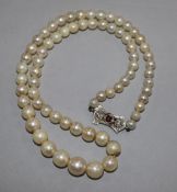A single strand graduated cultured pearl necklace with 9ct white gold, ruby and diamond set clasp,