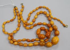 Two single strand graduated amber bead necklaces, gross weight 57grams.