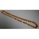 A single strand graduated amber bead necklace, gross 43 grams, 72cm.