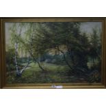 Kowalski, oil on canvas, birch tree in a landscape, 52 x 80cm