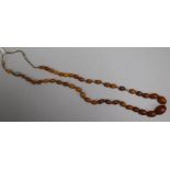 A single strand graduated amber bead necklace, gross 12 grams, 46cm.