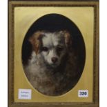 H. Frier, oil on panel, head of a spaniel, signed and dated 1878?, 26 x 20cm