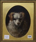 H. Frier, oil on panel, head of a spaniel, signed and dated 1878?, 26 x 20cm