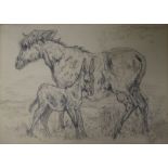 A Victorian pencil study of donkeys, unframed, 11 x 15cm