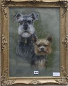 Pastel of dogs by Marjorie Cox,49 x 36cm