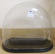 An oval glass dome and plinth