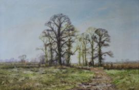 Alwyn Crawshaw (b.1934)oil on canvasAutumnal landscapesigned49 x 75cm